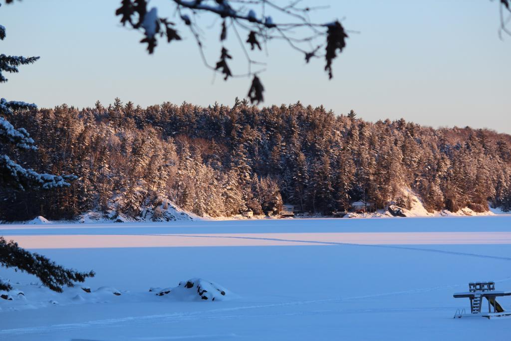 Oakview Lodge & Marina Algonquin Highlands Chambre photo